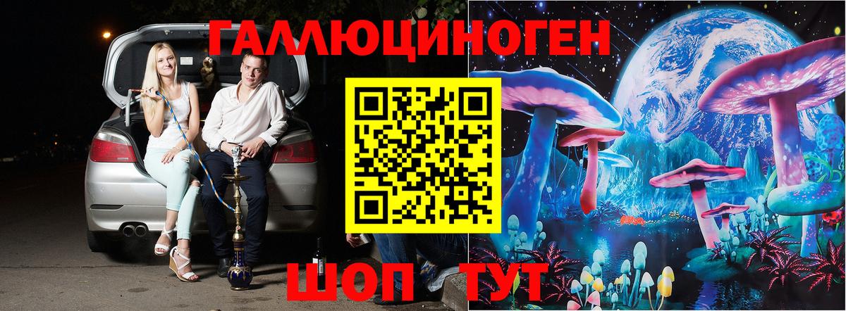 Псилоцибиновые грибы Psilocybine cubensis Тосно
